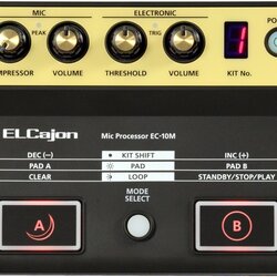 Roland EC-10M ElCajon Mic Processor