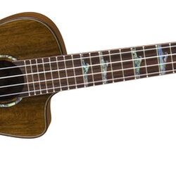 Luna Guitars High-Tide Koa Concert Ukulele