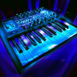 Arturia MiniBrute Monophonic Analog Synthesizer