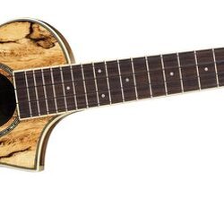 Ibanez UEW20SG EW Concert Ukulele - Spalted Mango (Natural)