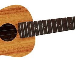 aNueNue Oahu Koa II Concert Ukulele