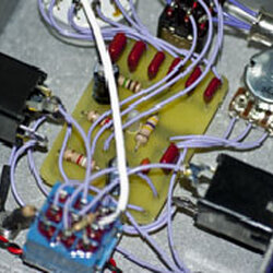 Plum Crazy FX The Squawk