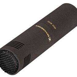 Sennheiser MKH 8050 Compact Supercardioid Condenser Microphone