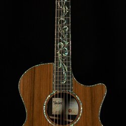 Taylor PS14ce Wildwood and Steel Prototype No.1109267117