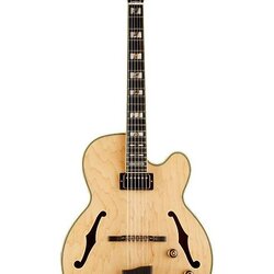 Ibanez PM200 Pat Metheny Signature Hollowbody Electric Guitar - Natural