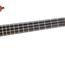 Warwick Thumb Bass Guitar 4-String