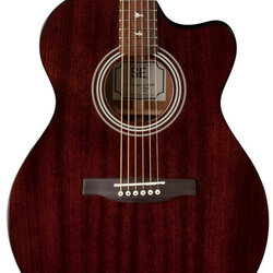 PRS Se Angelus A10 Rosewood Fretboard with Bird Inlays Acoustic-Electric Guitar Tortoise Shell