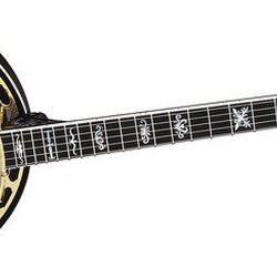 Washburn B17 Sunburst 5-String Banjo w/case Sunburst