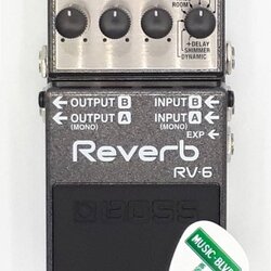 Boss RV-6 Digital Delay/Reverb Guitar Effects Pedal