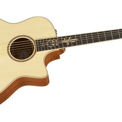 Taylor Limited Edition Builders' Reserve Series III Guitar/Amp Package