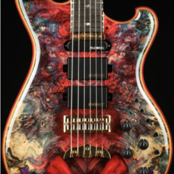 Alembic Further 6 Buckeye Burl - Resin Top