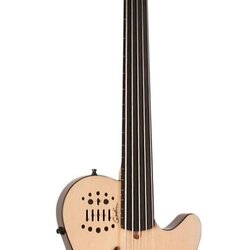 Godin A5 Ultra Bass Fretless SA 5-String Acoustic-Electric Bass Guitar Natural Ebony Fretboard