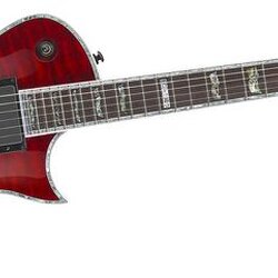 ESP LTD Deluxe EC-1000 Electric Guitar