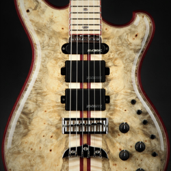 Alembic Further - Buckeye Burl