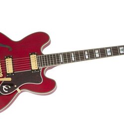 Epiphone 50th Ann. 1962 Sheraton E212TV Outfit Tremotone Electric Guitar