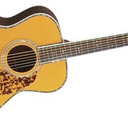 Blueridge Historic Series BR-183 000 Acoustic Guitar