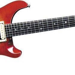 Paul Reed Smith SE Custom 22 Electric Guitar