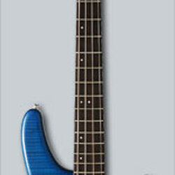 FGN Guitars Expert series EDR-4R/FM - Transparent Blue Sunburst