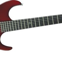 Moog The Moog Guitar E1 with Tremolo Electric Guitar