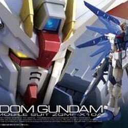 RG05 1/144 5 Freedom Gundam 2500y