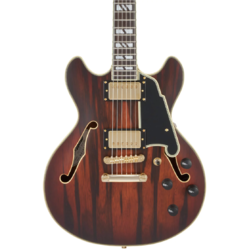 D'Angelico Deluxe Mini DC Semi-hollowbody Electric Guitar