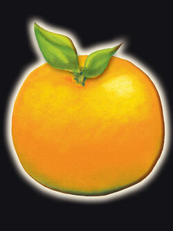 Promotions สินค้าเจ้าค่ะ