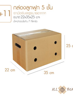 กล่องทุเรียน กล่องผลไม้ กล่องมีรู สำหรับพ่อค้าแม่ค้าผลไม้ออนไลน์ ขนาดเทียบเท่า Kerry Size D+11 (10 ใบ)
