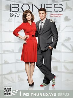 Bones Seasons 6 (DVD 8 แผ่น บรรยายไทย) สืบคดีฆาตกรรมจากกระดูกของเหยื่อ
