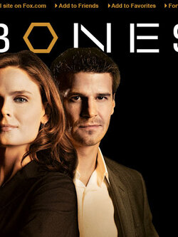 Bones Seasons 1 (DVD 8 แผ่น บรรยายไทย) สืบคดีฆาตกรรมจากกระดูกของเหยื่อ