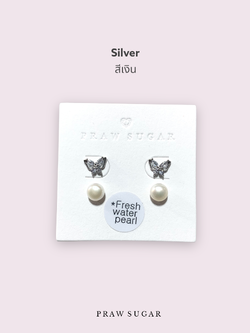 สีเงิน Silver