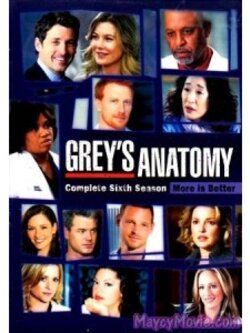 Grey Anatomy ( ปี6 ) ซับไทย 6 Dvd