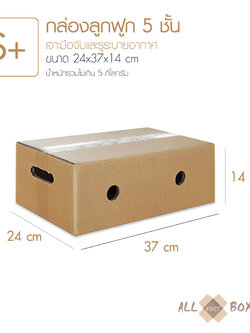 กล่องทุเรียน กล่องผลไม้ กล่องมีรู สำหรับพ่อค้าแม่ค้าผลไม้ออนไลน์ ขนาดเทียบเท่า Kerry Size S+ (10 ใบ)