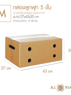 กล่องทุเรียน กล่องผลไม้ กล่องมีรู สำหรับพ่อค้าแม่ค้าผลไม้ออนไลน์ ขนาดเทียบเท่า Kerry Size M (10 ใบ)
