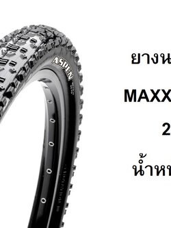 ยางนอกขอบพับ MAXXIS ASPEN 29 x 2.10