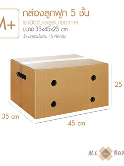 กล่องทุเรียน กล่องผลไม้ กล่องมีรู สำหรับพ่อค้าแม่ค้าผลไม้ออนไลน์ ขนาดเทียบเท่า Kerry Size M+ (10 ใบ)