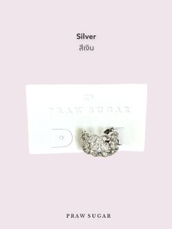 สีเงิน Silver