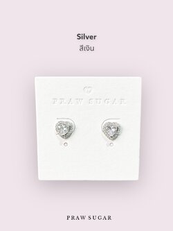 สีเงิน Silver
