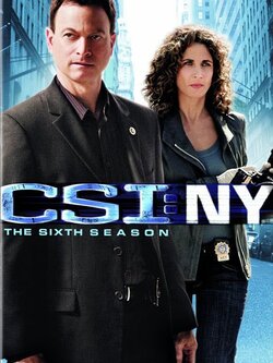 CSI: New York Season 6 (MASTER DVD 6 แผ่น เสียงไทย,ENG บรรยายไทย,ENG) นักสืบคู่หู แม็ค เทย์เลอร์ และ สเตลล่า โบนาเซอรา นำทีมไขคดีปริศนาอาชญากรรม