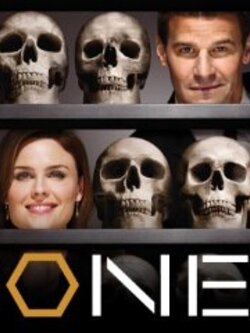 Bones โบนส์พลิกซากปมมรณะ ซับไทย 13Dvd