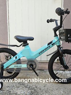 รถเด็ก Coyote Peelus 16 นิ้ว ดิสเบรคหลัง อลูมิเนียม มีตะกร้า