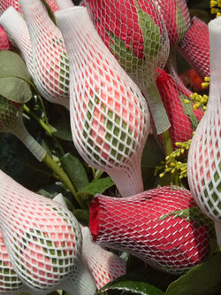 ตาข่ายโฟมห่อดอกกุหลาบ ตาข่ายห่อมะยงชิด เพื่อคงรูปทรงให้สวย ไม่เสียหายระหว่างขนส่ง จำนวน 1 กก.