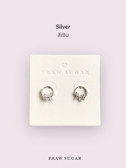 สีเงิน Silver