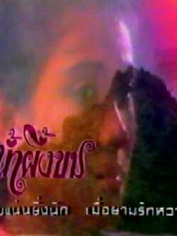 น้ำผึ้งขม ปี2529 6 Dvd นำโดย มนฤดี + นิรุตต์