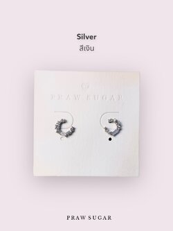 สีเงิน Silver