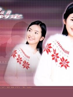 True Love วัยดรุณี [สัญญาแล้วนะว่าจะรัก] .. 21 Vcd จบ สกรีนปก