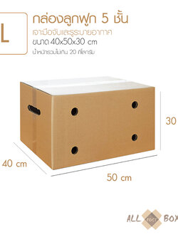 กล่องทุเรียน กล่องผลไม้ กล่องมีรู สำหรับพ่อค้าแม่ค้าผลไม้ออนไลน์ ขนาดเทียบเท่า Kerry Size L (10 ใบ)