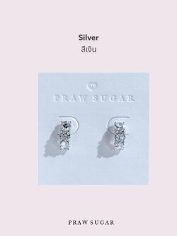 สีเงิน Silver