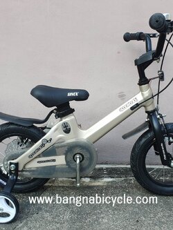 รถเด็ก SPACEBABY Peelus ตัวถังอลูมิเนียม 12 นิ้ว ล้อซีลวด บรอนซ์ทอง