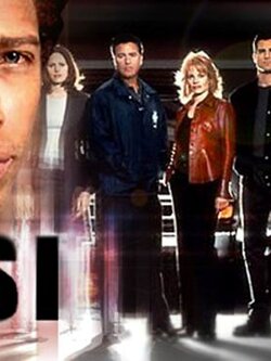 CSI: Miami Season 1-2 DVD 5 แผ่น ( สนุกมาก ๆ ค่ะ)