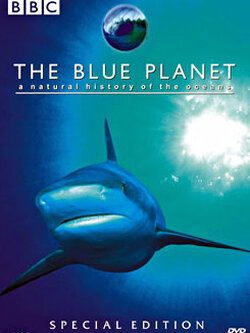 สารคดี The Blue Planet โลกสีน้ำเงิน (MASTER DVD 4 แผ่น เสียงไทย,ENG บรรยายENG) นำทุกท่านดำดิ่งลงสู่จุดที่ลึกทีสุดที่ไม่เคยมีมนุษย์คนไหนเคยลงไปถึง